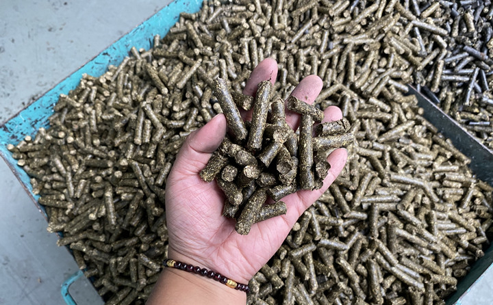 木屑制粒機的生物質(zhì)顆粒燃料.jpg